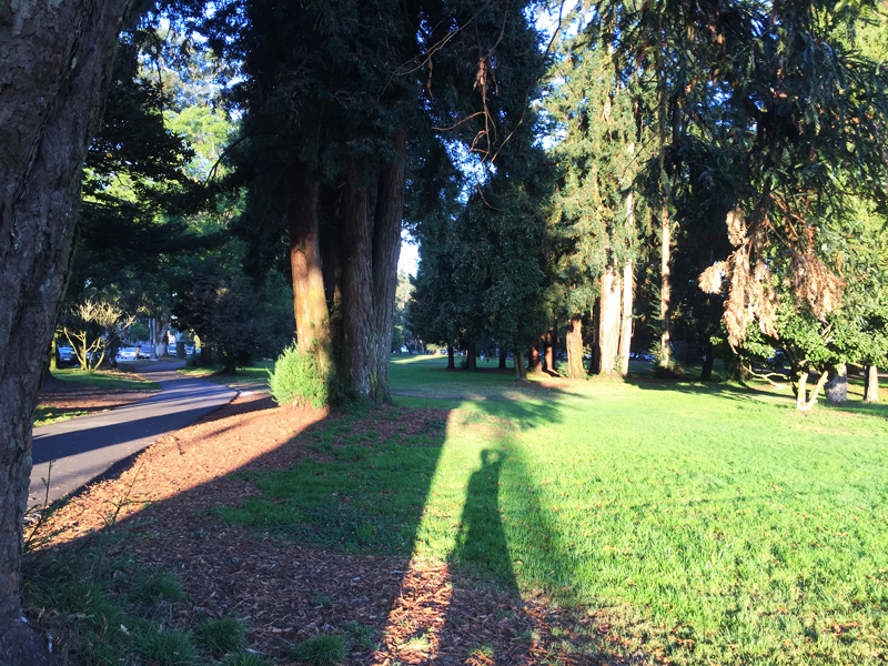 美国旧金山市规划,美国旧金山公园