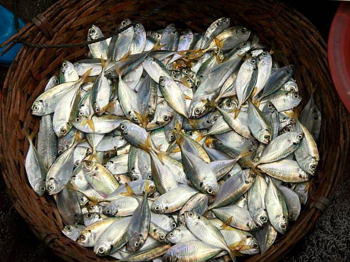 海南租车别克7座每天价格,海南自驾租车最便宜