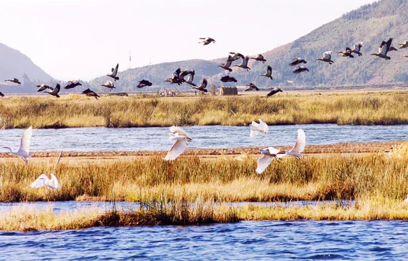 云南最美的旅游景点排名,大美云南11个县域旅游地
