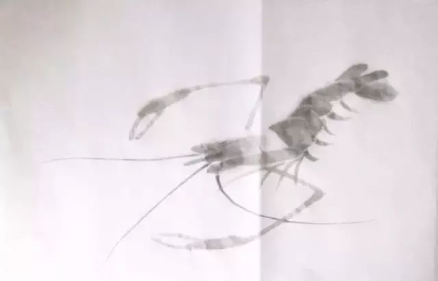 怎样画虾教学视频,铅笔画虾的步骤和方法