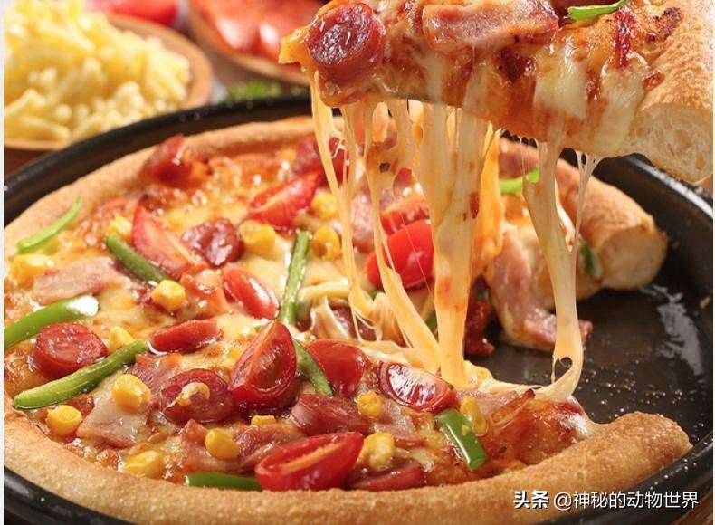 奶牛产奶到变成奶粉的过程,奶牛的奶怎么产出来的