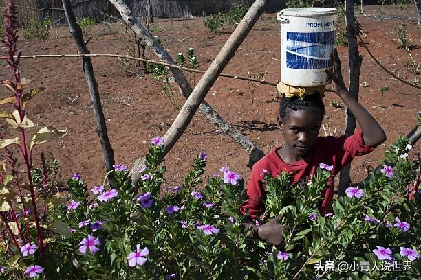 非洲的赞比亚女子身材火辣而且生活平静,赞比亚是个怎样的国家