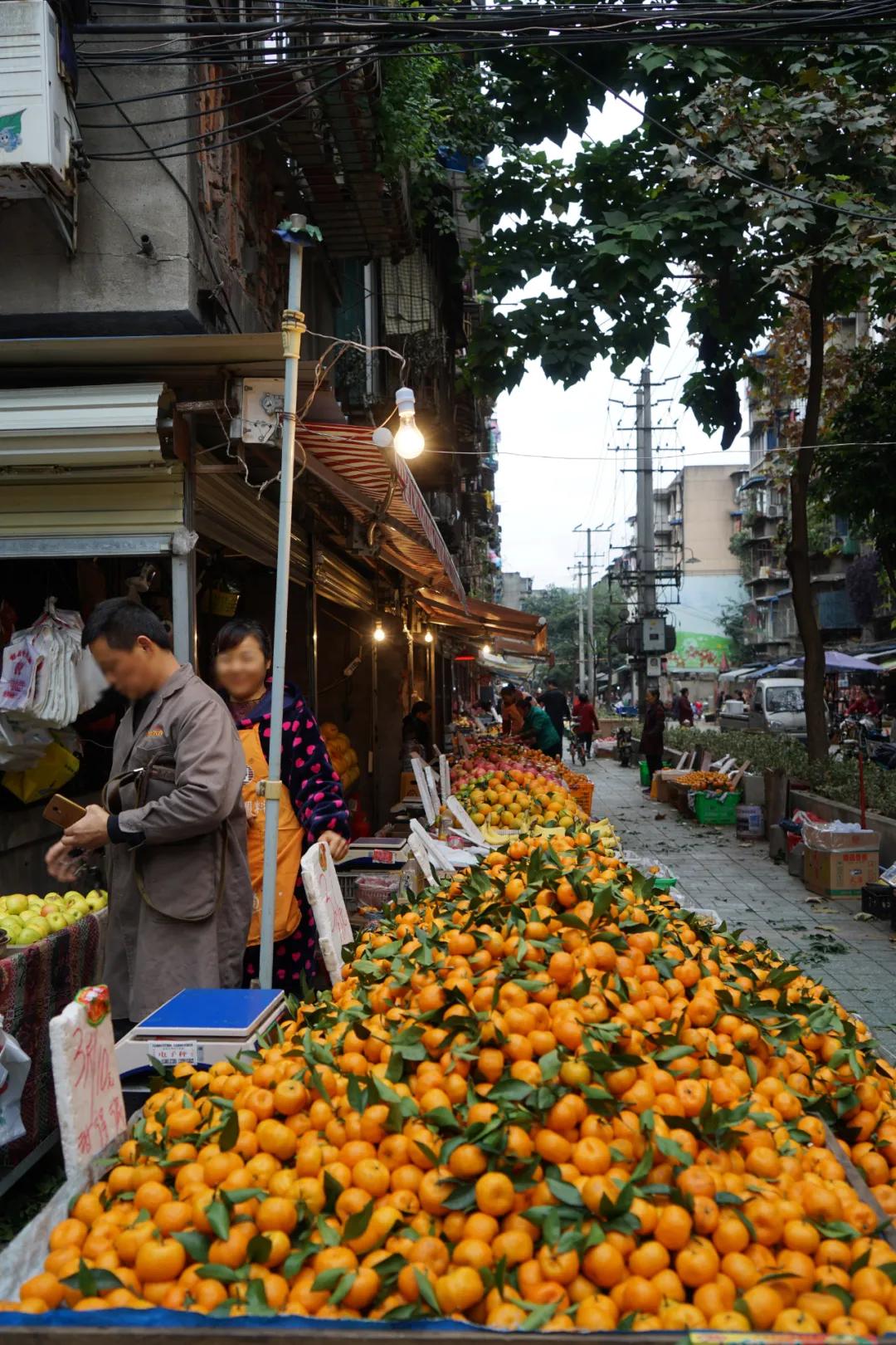 成都闹市区有家苍蝇馆子40平米,成都苍蝇馆子本地人推荐便宜好吃