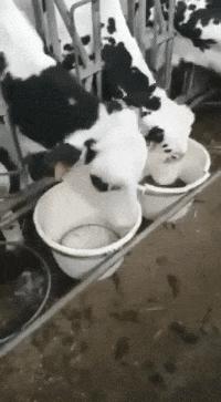 “兄弟睡觉压得胳膊都变色了，要不要叫醒他？”醒来一定很酸爽