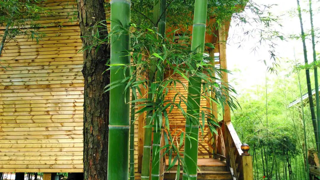 【在韶关过大年】春节游玩,推荐韶关这10间精品民宿!颜值高,来过慢生活