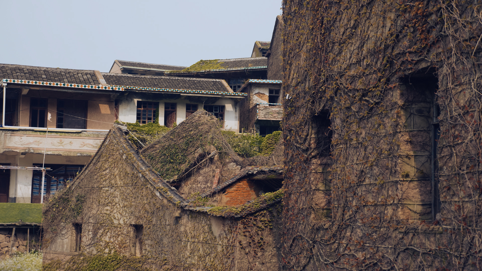 浙江嵊泗列岛三日游,嵊泗四日游旅游攻略