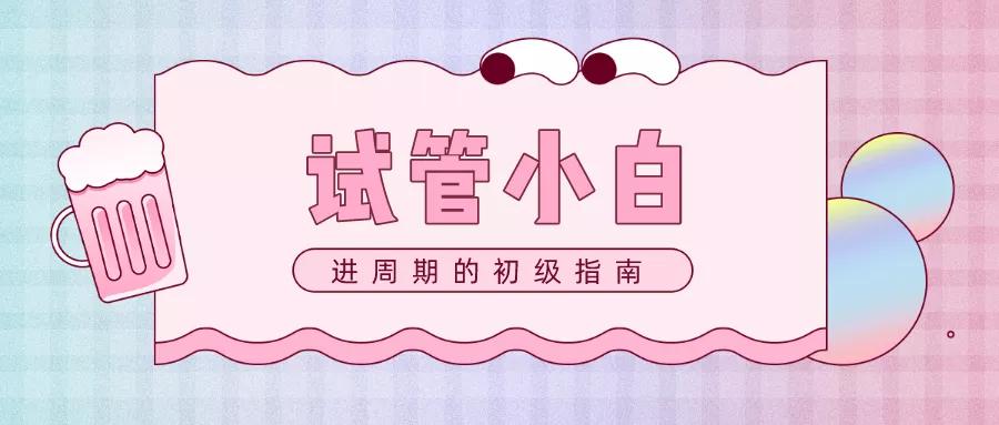 试管精子优化和受精过程,试管人工授精方法