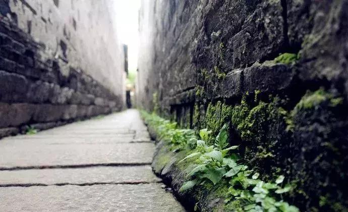 西塘故事,在西塘等你的故事