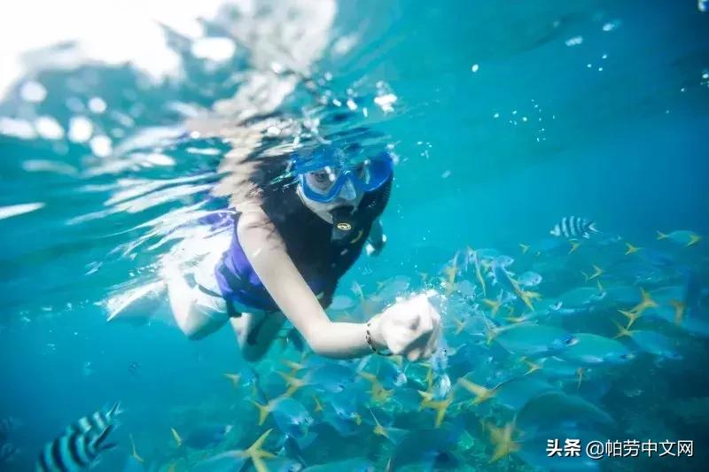 旅行帕劳,去帕劳的真实感受