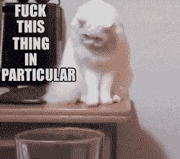 打猫教育,怎么打猫能让猫咪不能伤到你