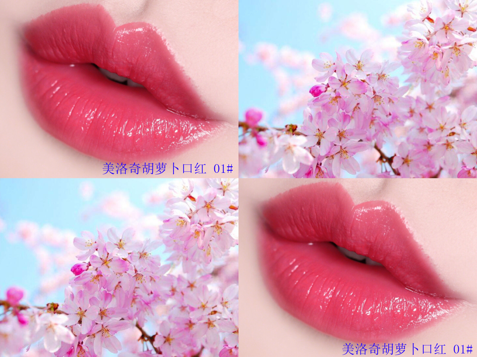 女生必备显白六支口红,女生必备的十大口红品牌图片