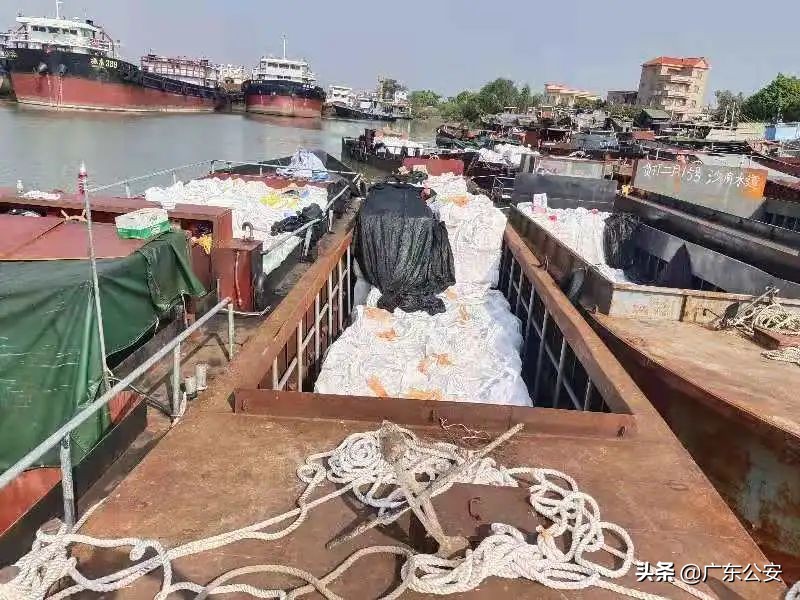 吃完火龙果后千万不要碰这几种,吃完火龙果千万别吃这三种