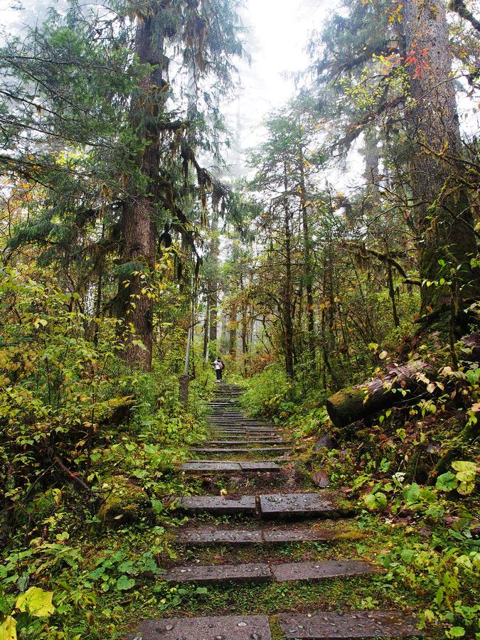 又美又神秘的风景,海螺沟的景色太美啦