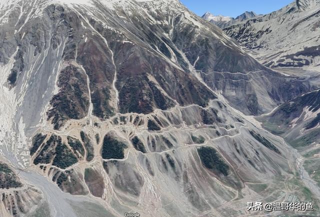 拉达克地形,拉达克军总兵力