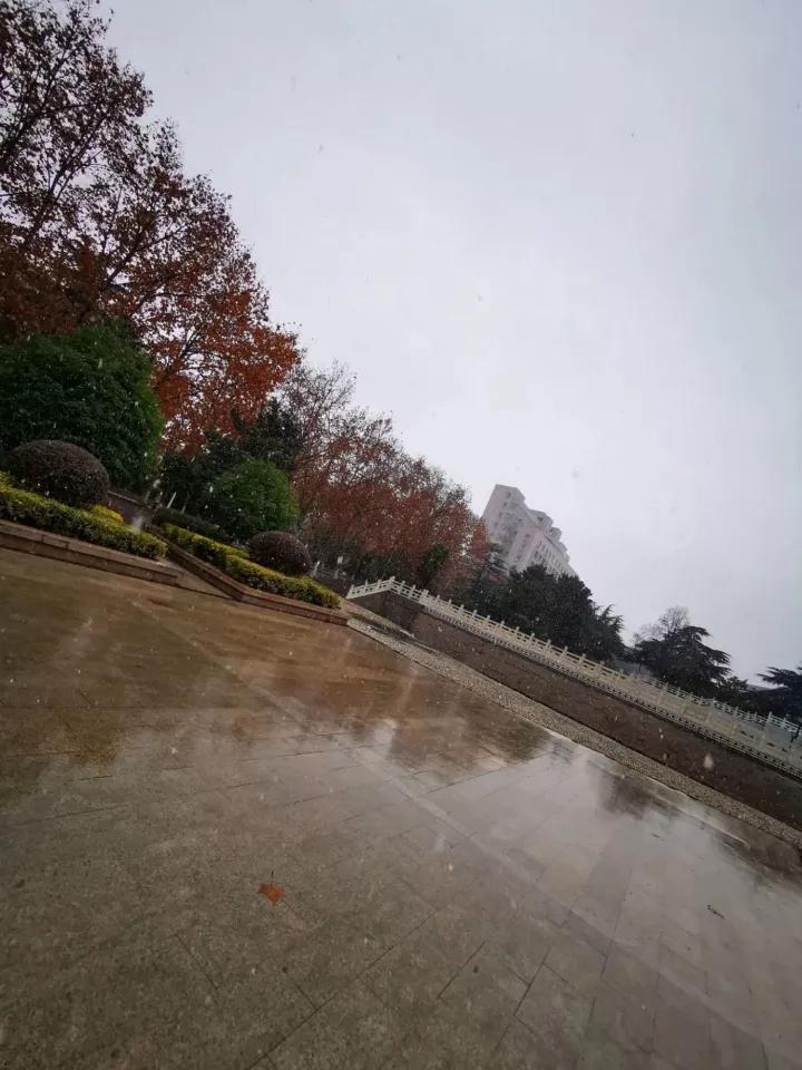 安徽省淮北师范大学录取分数线,安徽淮北十四中