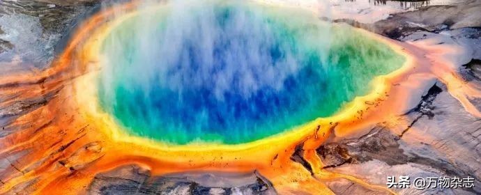 美国新冠自测官方承认吗,检验新冠核酸的试剂有哪些