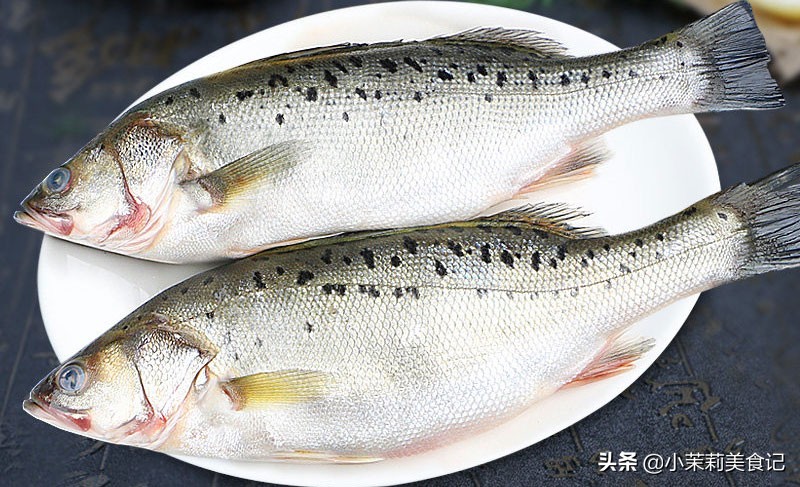 怎么区别海鲈鱼和淡水鲈鱼,买鲈鱼公的好吃还是母的好吃