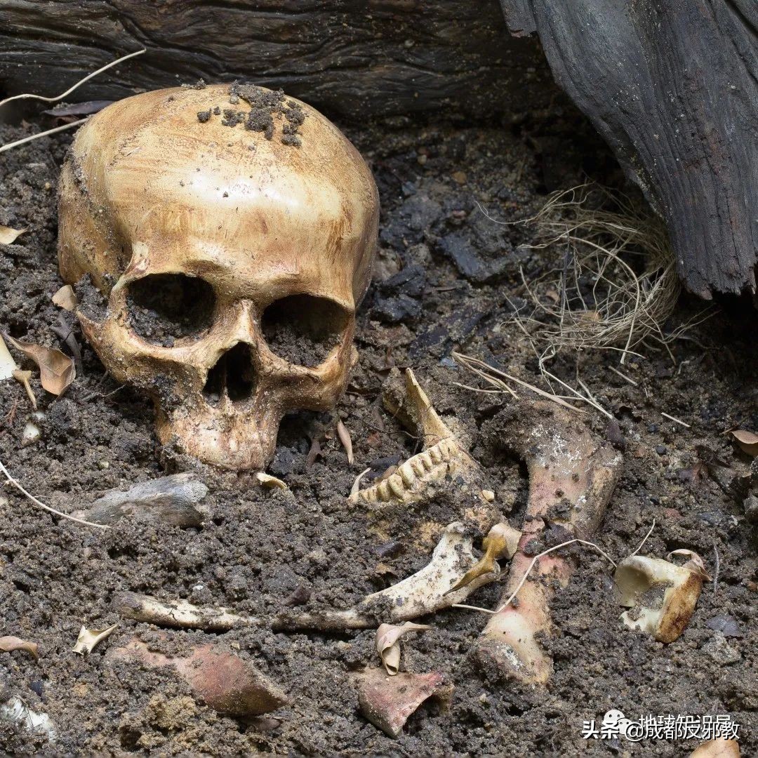 带你揭秘印度人骨*市黑**：骨头明码标价，祖宗们的尸身变成摇钱树