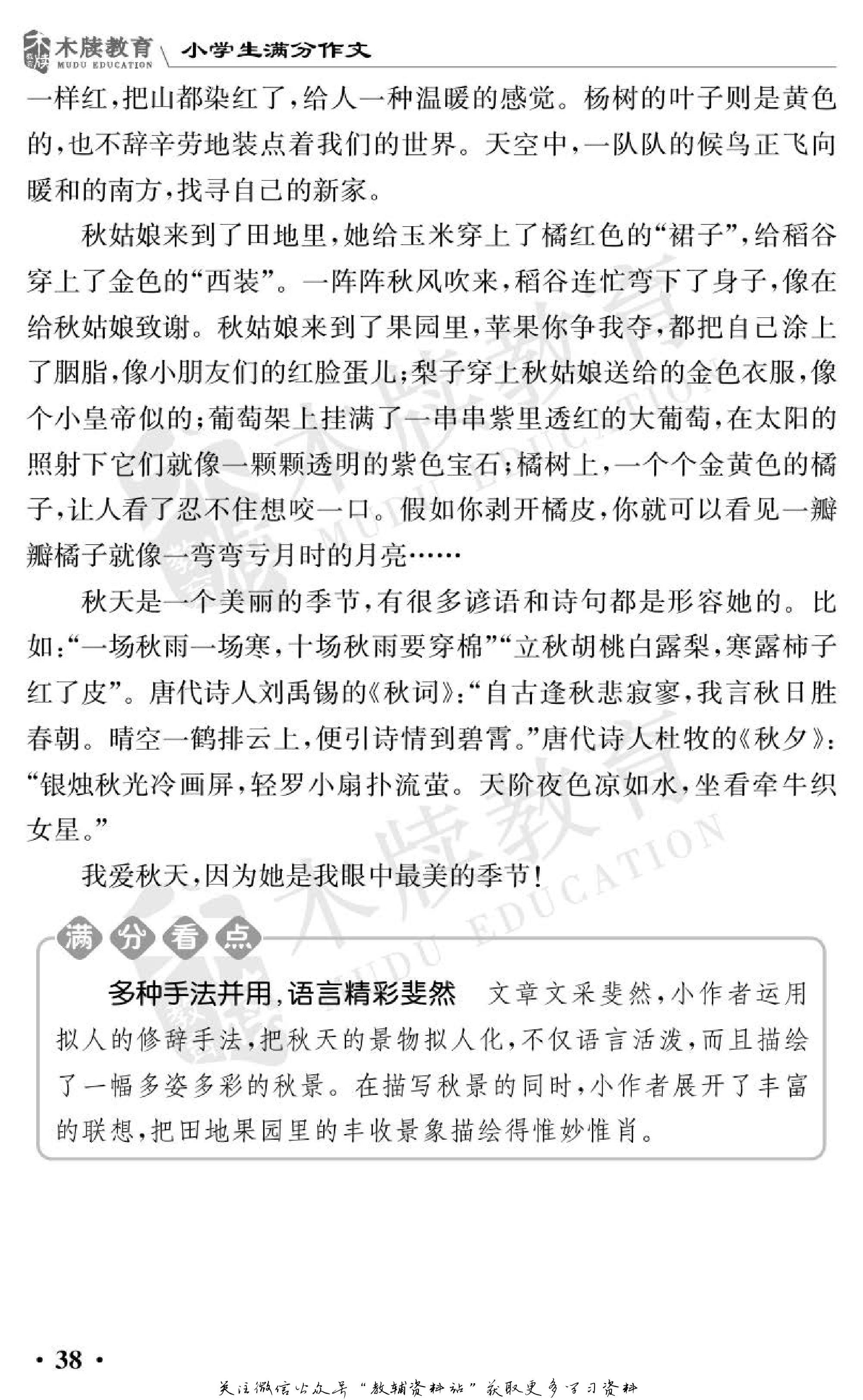 小学语文通关宝典,小学教育通关宝典