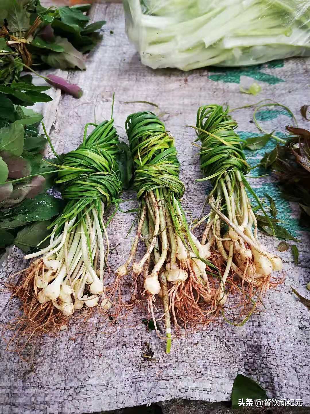 带北方朋友在南方菜市场买菜视频,带着东北朋友去赶集