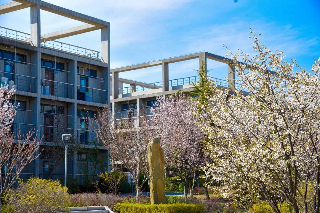 辽宁大学和鲁迅美术学院,辽宁省鲁迅美术学院是985吗