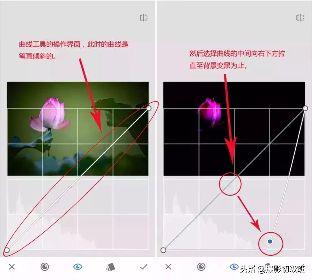 摄影基础知识：如何拍出纯黑色背景照
