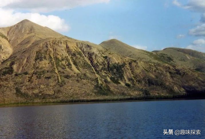 俄罗斯冻土层发现的生物,俄罗斯发现的生物