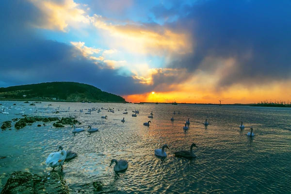 二月份适合去哪里旅游穷游,二月份适合去哪里旅游西藏