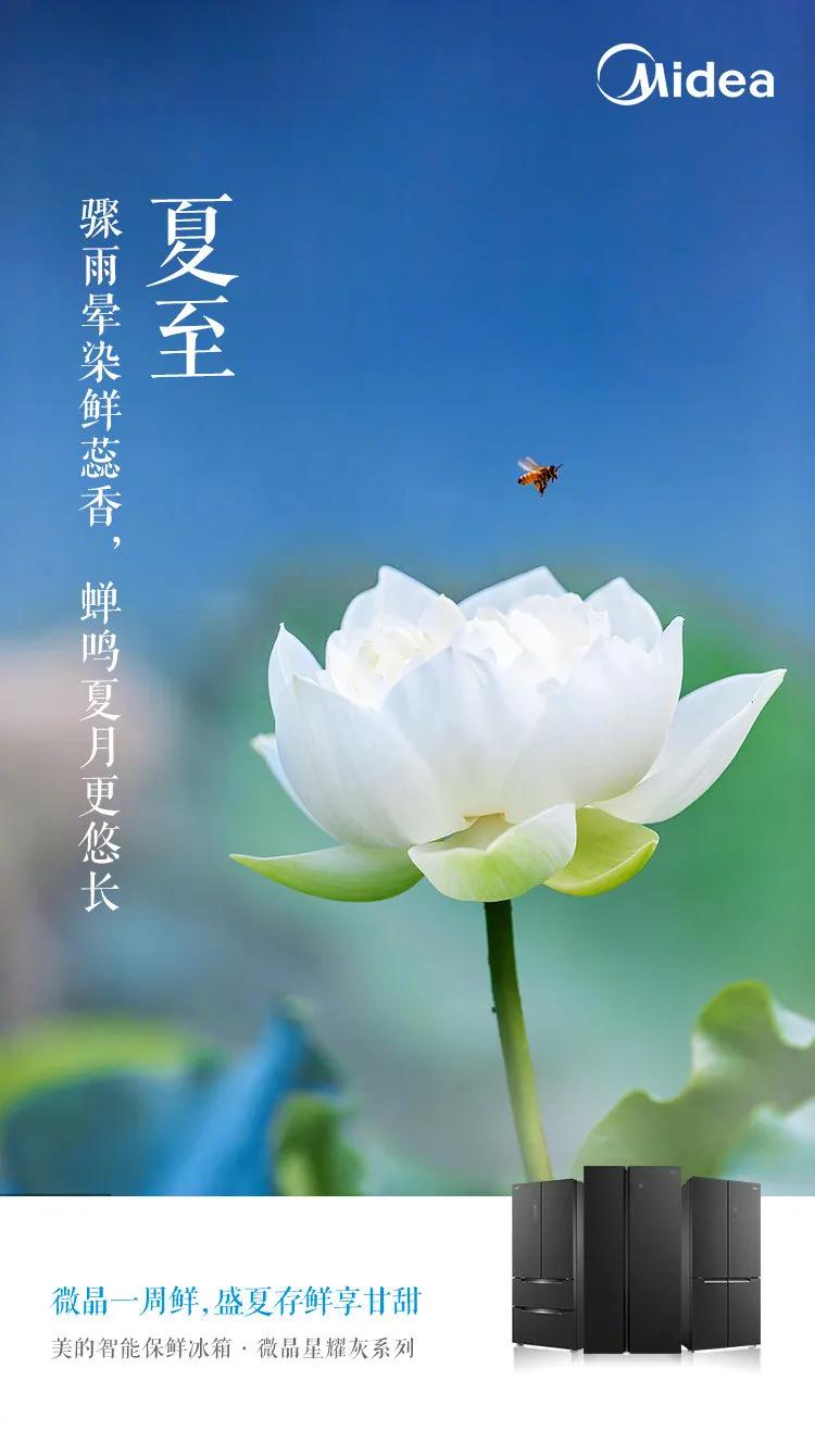 夏至节气文案图片,最新夏至文案朋友圈配图