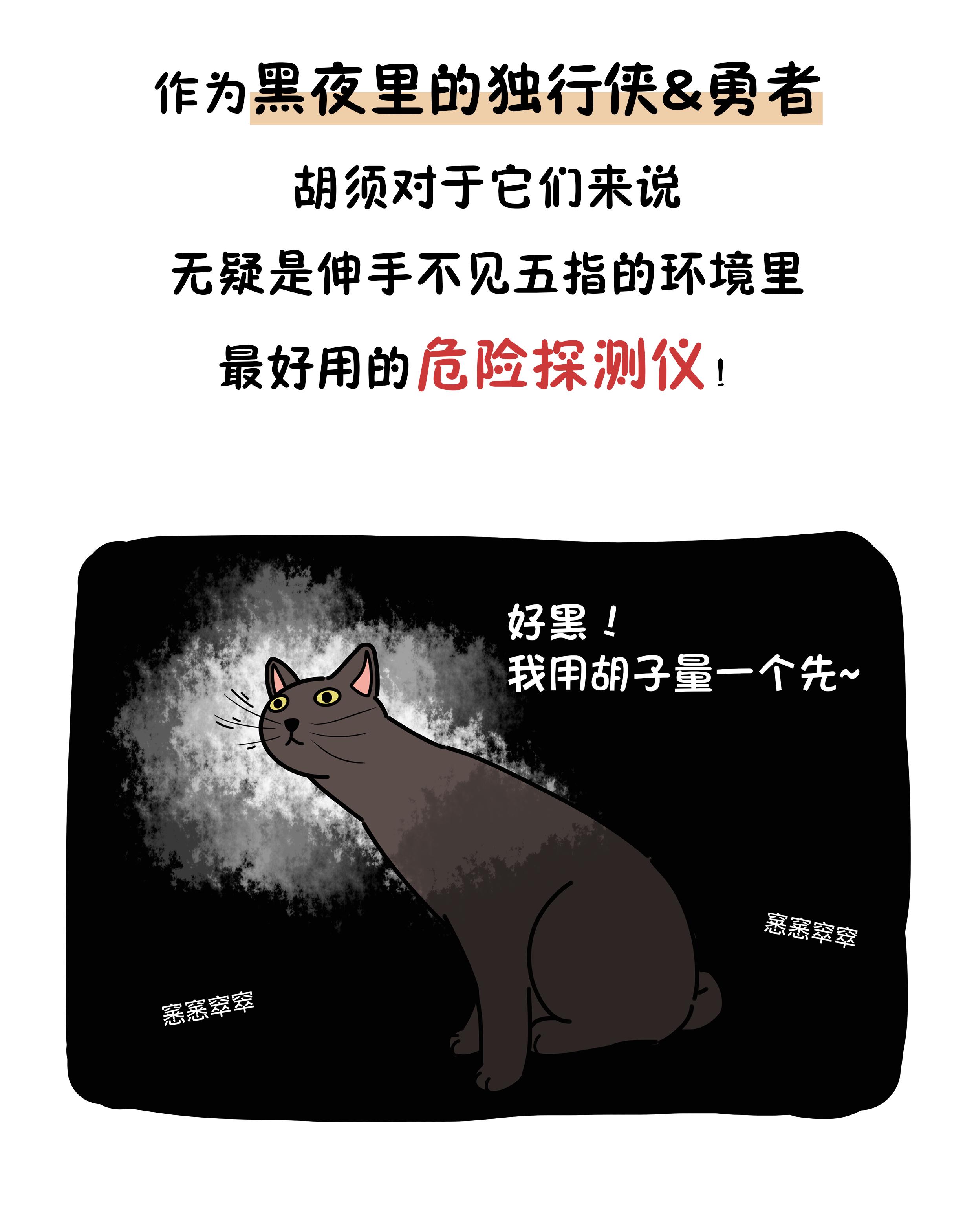 把猫咪的胡须拔掉还能找出来吗 (猫咪的胡须能探测多远的距离)
