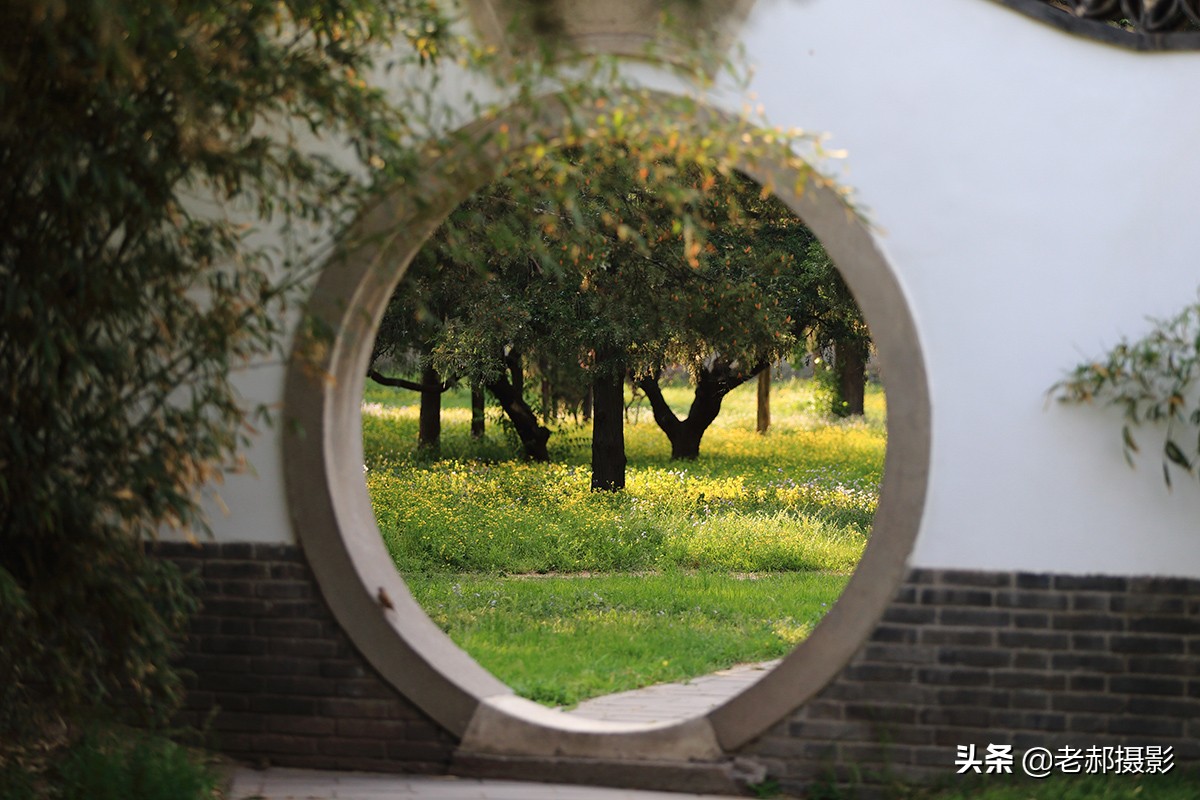 北京二月兰花海旅游,北京最大兰花海在哪里