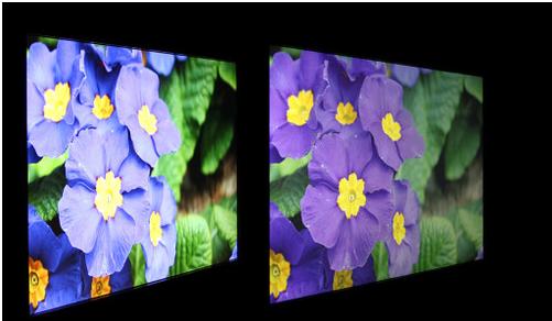 电脑tn屏幕和ips屏幕区别,显示器tn屏和ips屏哪个好