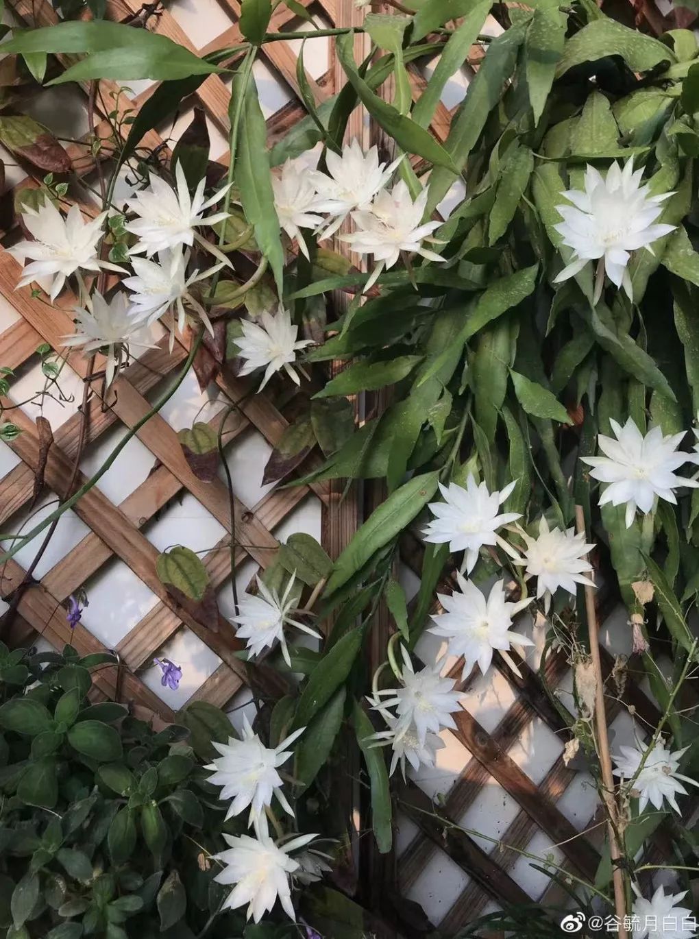 按头安利!5块钱淘宝好物,解决最难搞的收纳问题