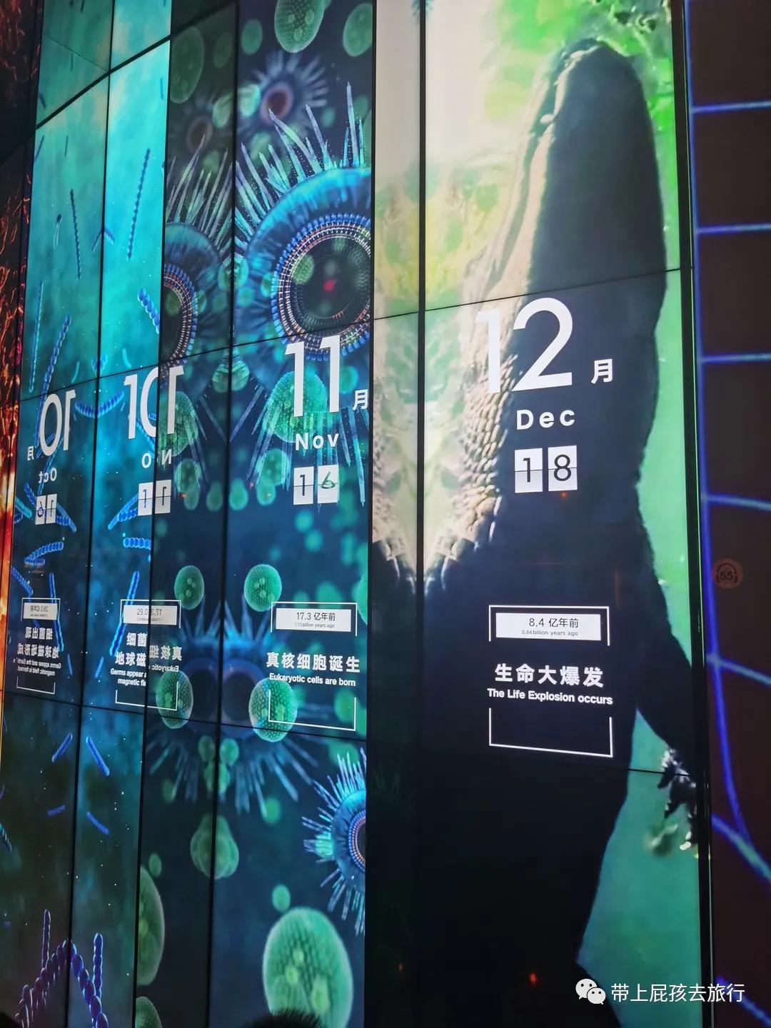 上海天文馆和科技馆哪个更值得去,上海天文馆两小时游览攻略