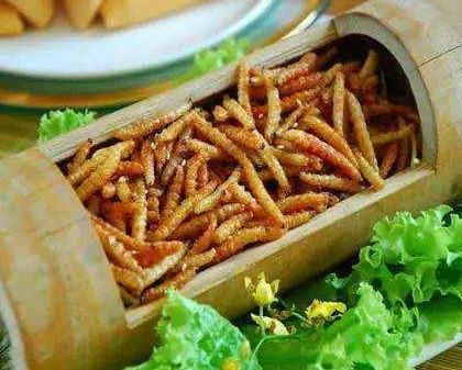 藏在竹林里的4种美食,我确信你只知道竹笋,全吃过是正宗南方人