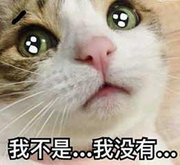 夏季潮袜五分长袜推荐 (高品质高颜值好袜推荐)