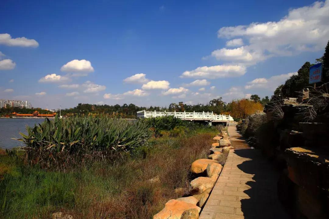 未来昆明发展潜力最大城市,昆明和青岛哪个城市发展潜力大