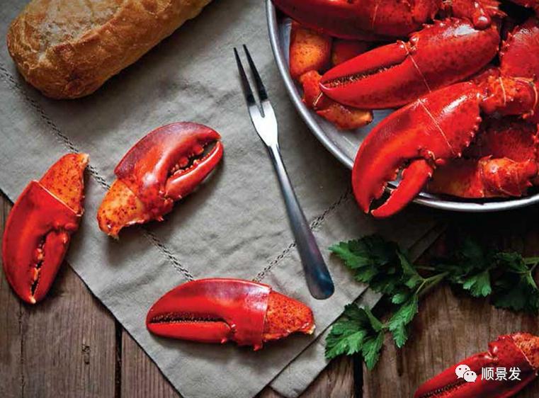 冷冻海鲜进口知识大全,船冻鱿鱼回家怎么处理