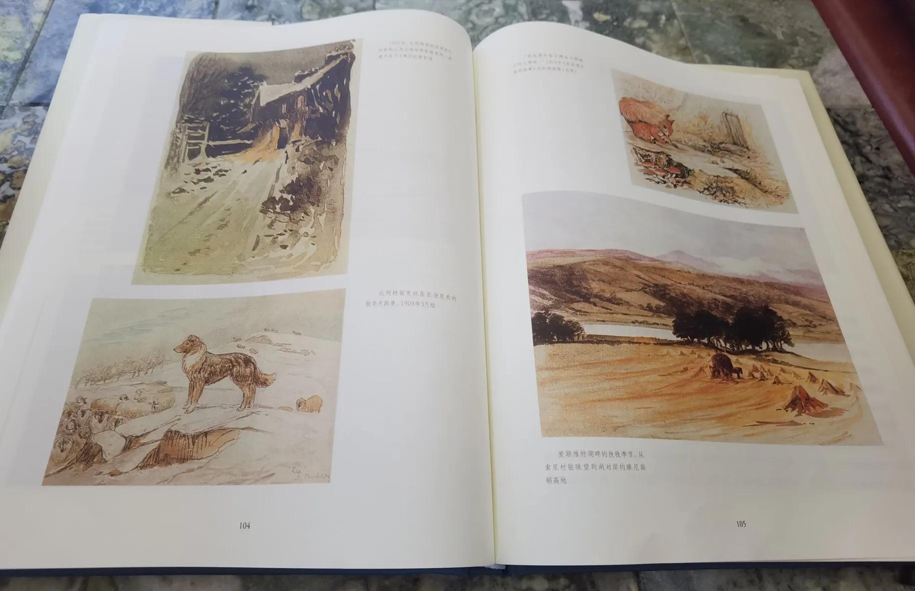 《永远的波特——彼得兔的妈妈》:揭晓彼得兔经久不衰的魅力所在