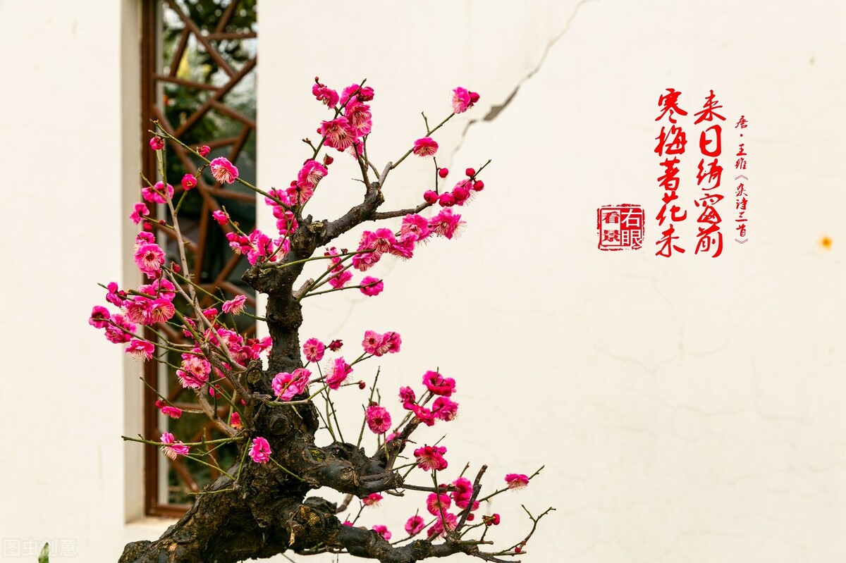 白落梅散文名句,白落梅经典散文