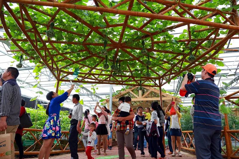 东南花都花博园全新升级鹿岛公园,东南花都花博园导览图