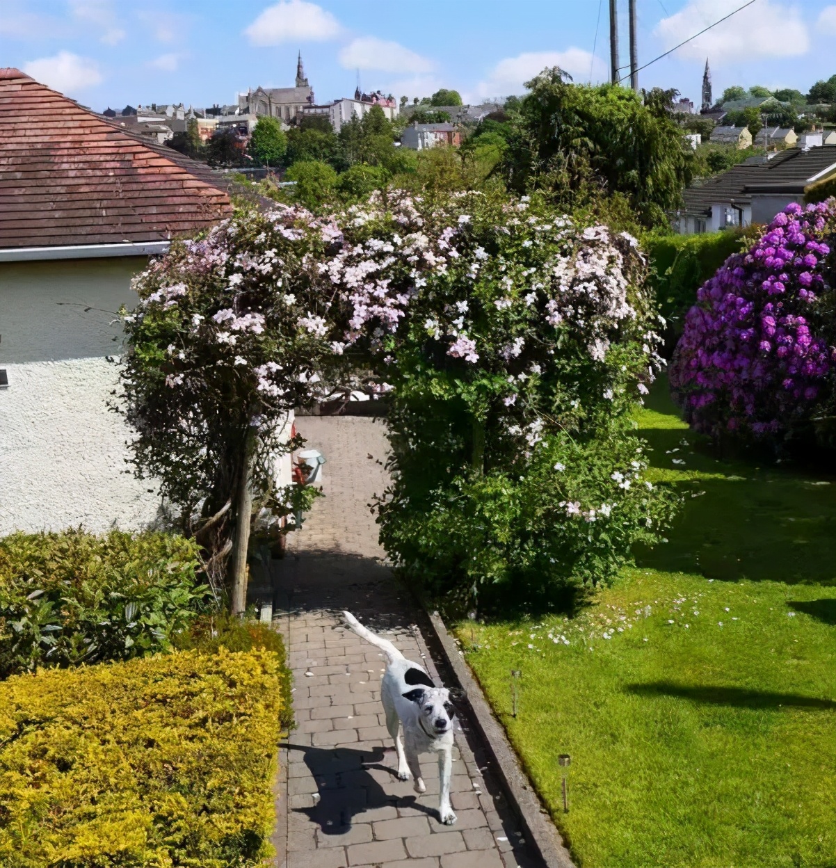 从英国回国为什么要转机,从英国回国需做哪些准备