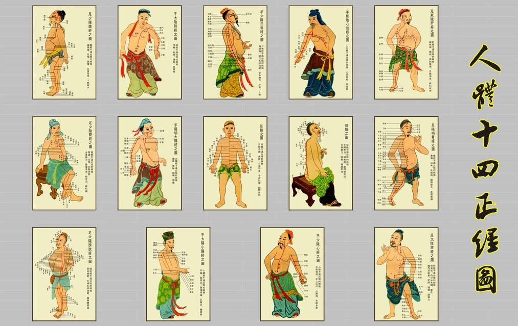 颈部穴位身体穴位图解,什么是穴位