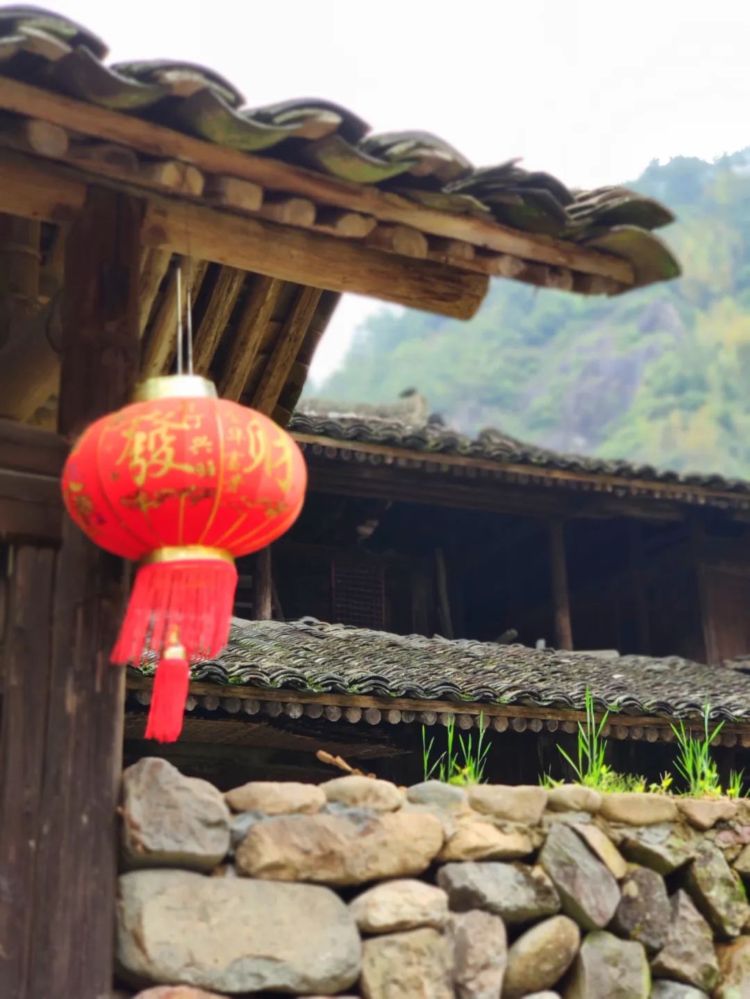 探访悬崖峭壁,大峡谷绝壁长廊