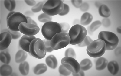 延缓衰老的功效,延缓血管衰老