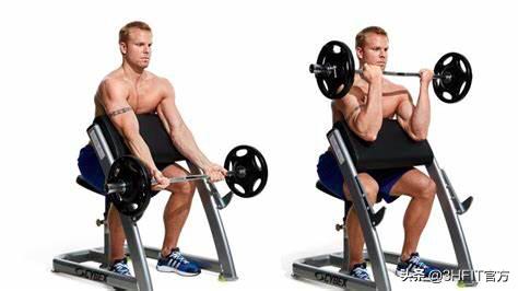 能够让手臂快速增粗3cm的训练技巧,让手臂更粗壮的动作