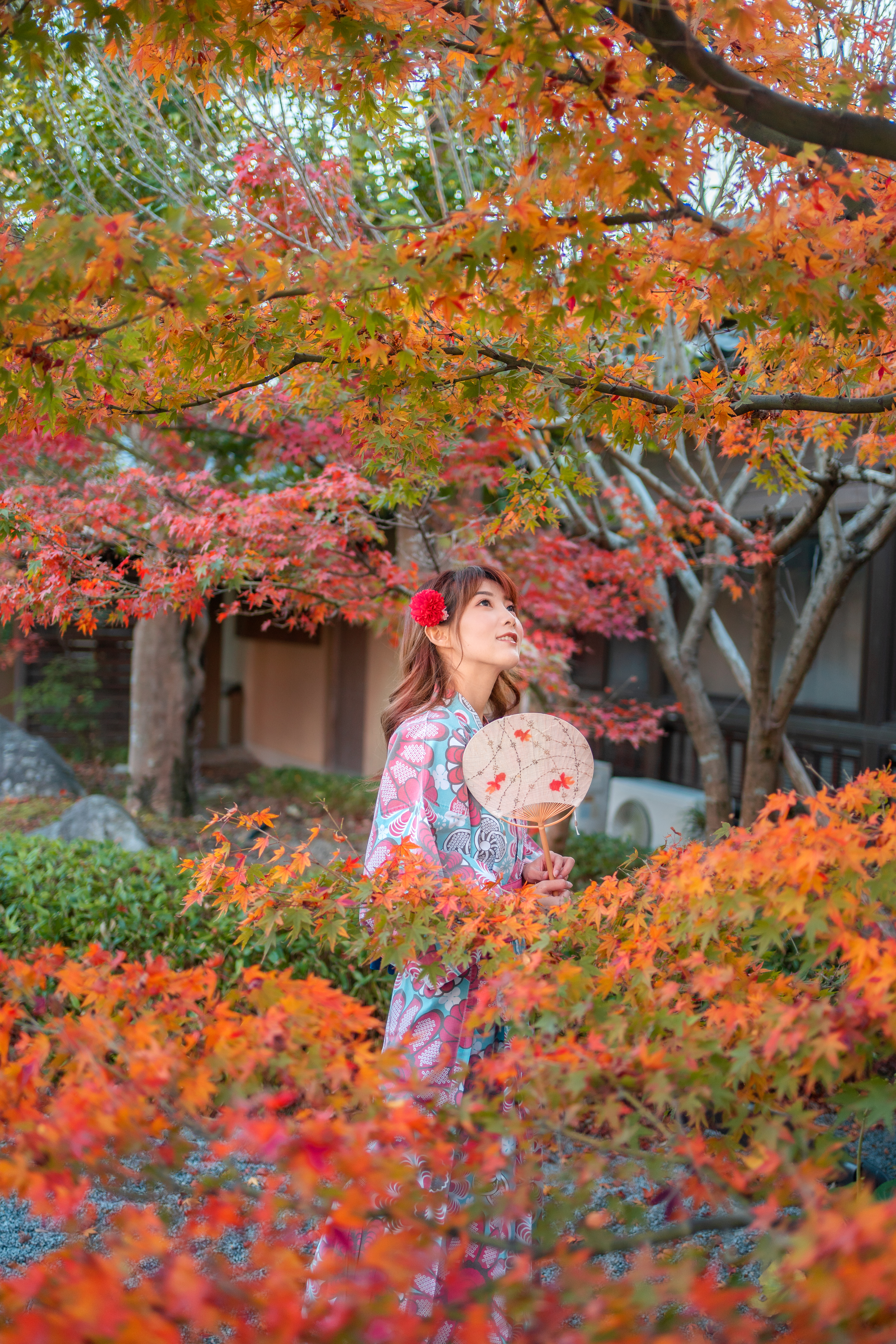日本九州|一个被温泉唤醒的秘境，超超超小众的日本旅行目的地