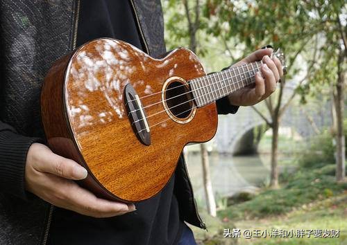 初学者怎么选择尤克里里,初学者怎么选尤克里里