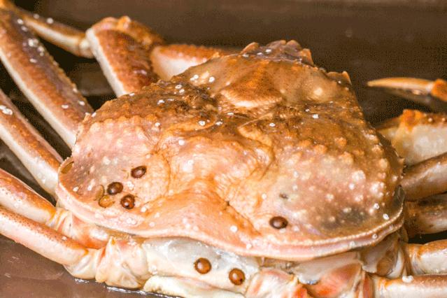 帝王蟹波龙象拔蚌,陆家嘴帝王蟹