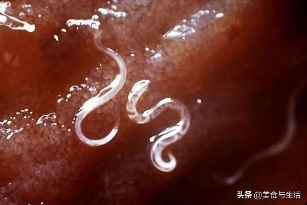 进口挪威三文鱼是冷鲜的吗,挪威三文鱼能放心吃吗